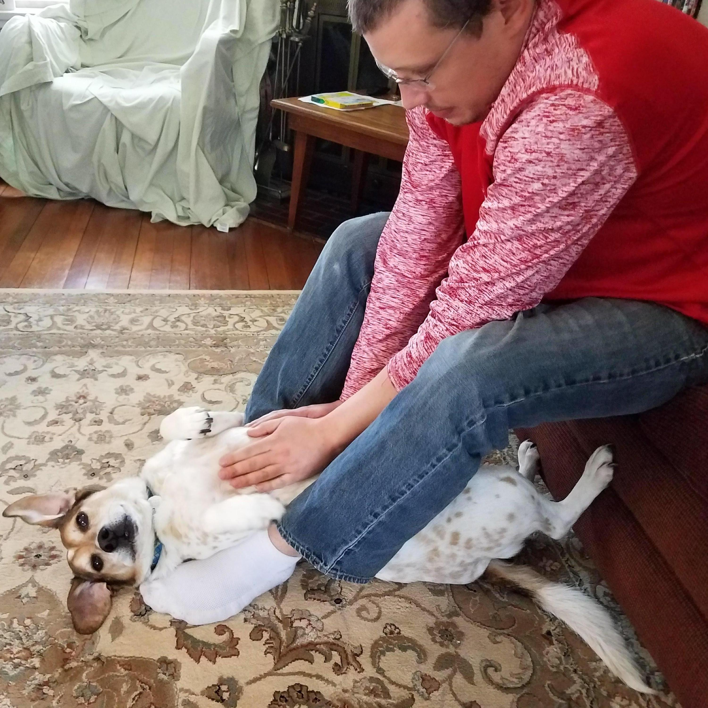 Baxter loving some belly rubs