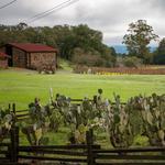 Jack London State Historic Park