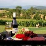 Veramar Vineyard