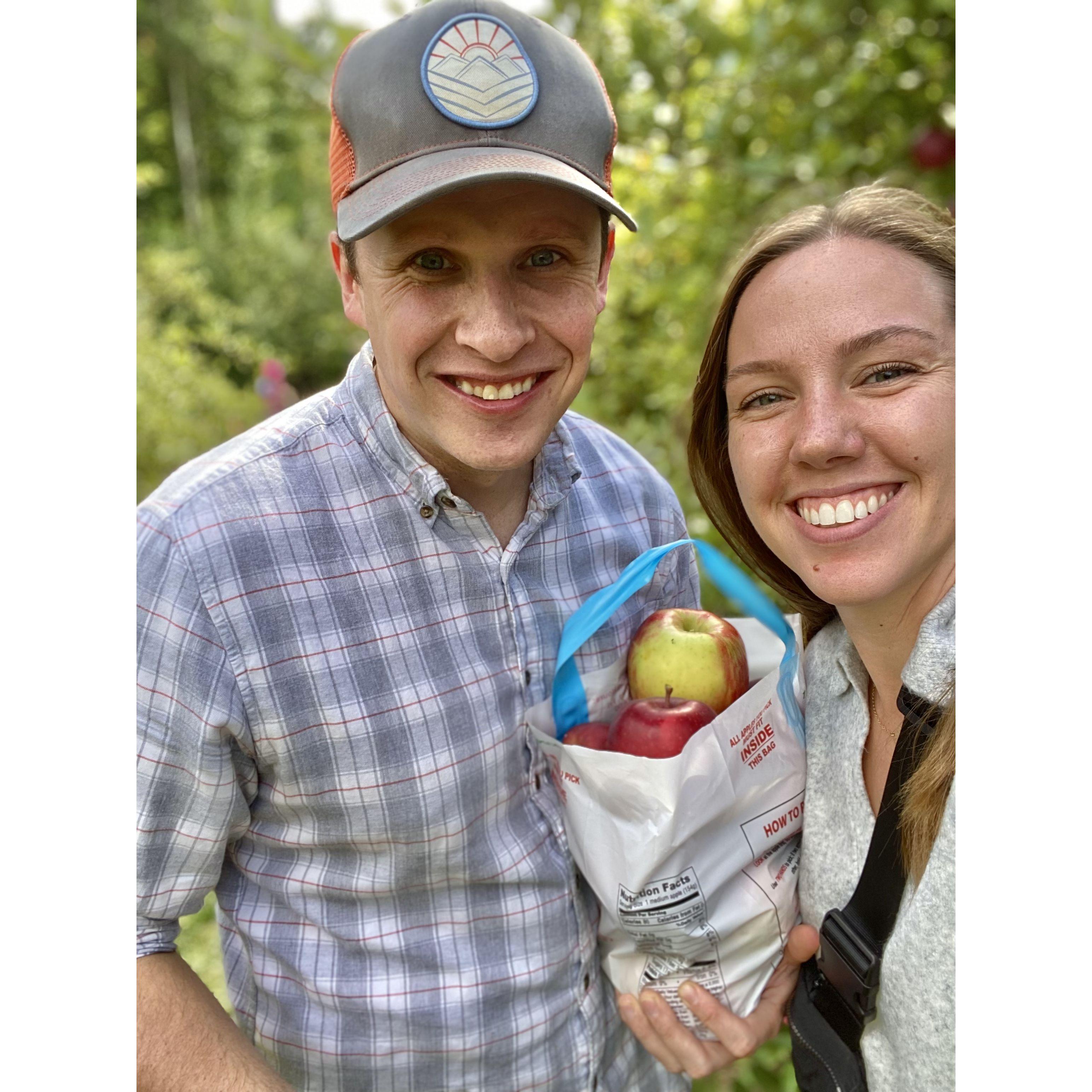 Apple picking 2024