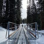 Alpine Coaster in Snowmass