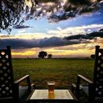 Wild Cider