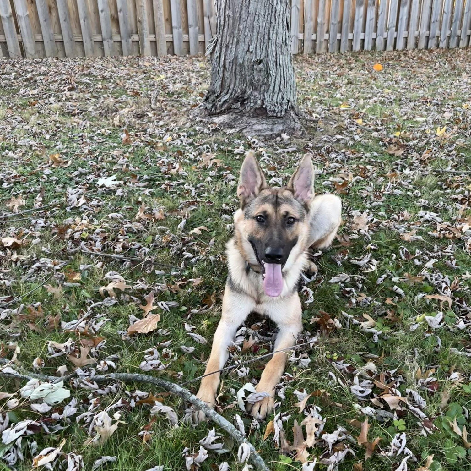 first day in his very own backyard <3