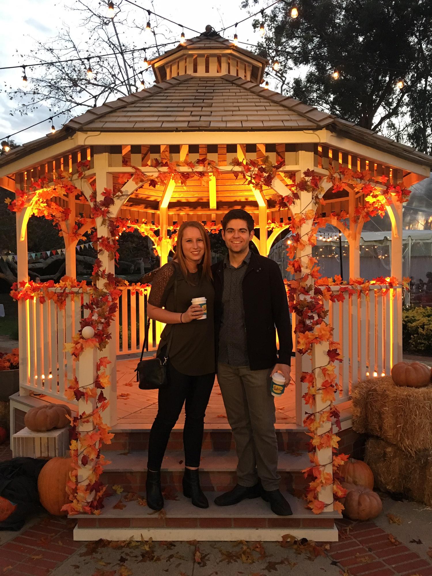 Stars Hollow, 2017