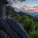 Tour beautiful virginia! Wineries, mountains, ocean, and more