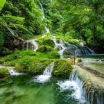 Evergreen Cascades Waterfall