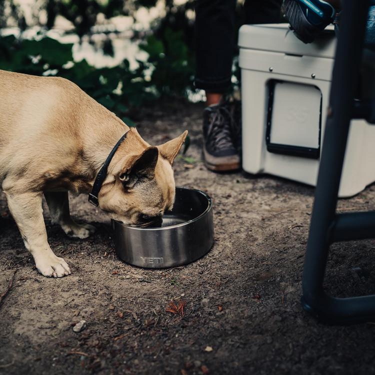 YETI Boomer 8 Large Dog Bowl