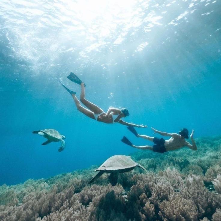 Snorkeling on Our Honeymoon
