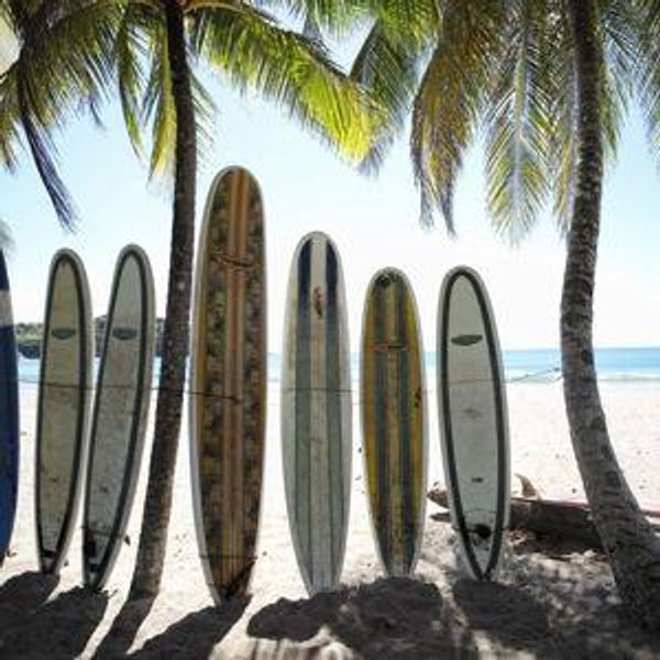 Surfing Lessons in Costa Rica