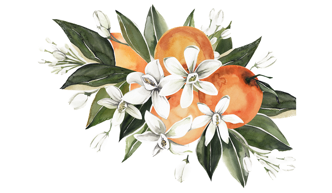 Footer image