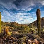 McDowell Sonoran Preserve