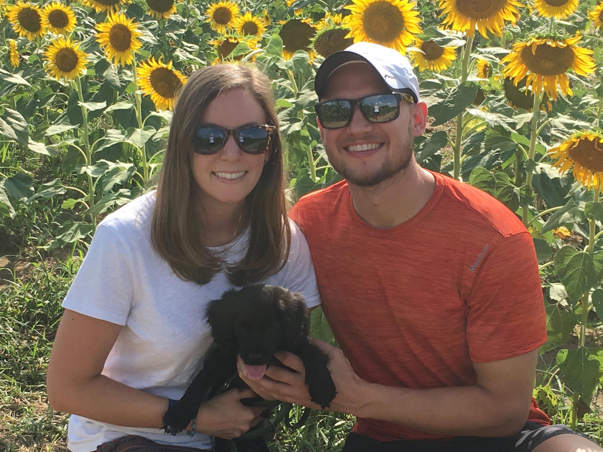 Enjoying the sunflowers with Beasley