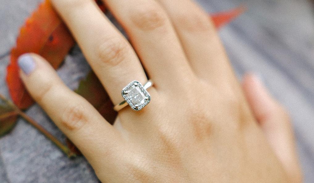 Hero Slideshow Image 2