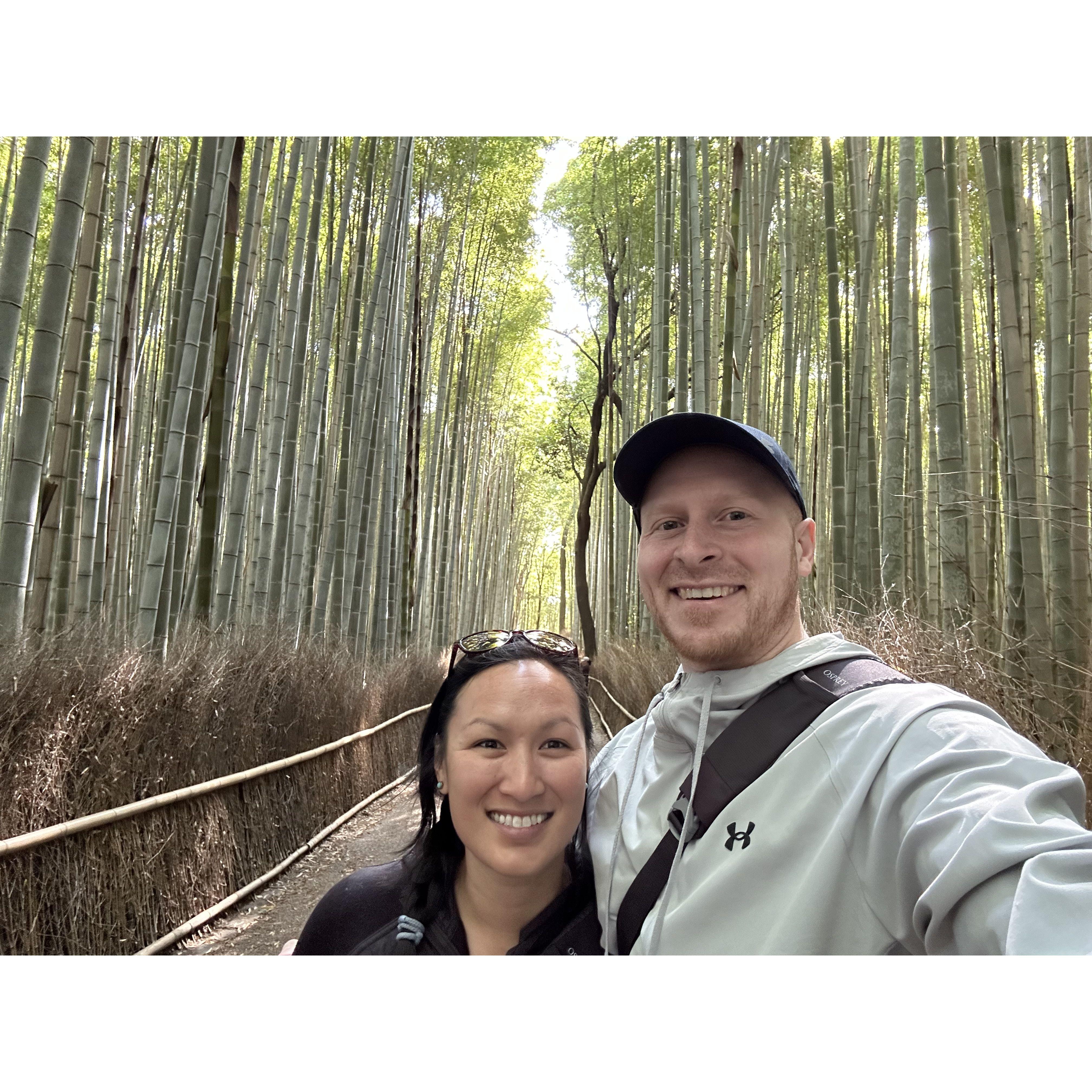 Bamboo Forest in Kyoto, Japan