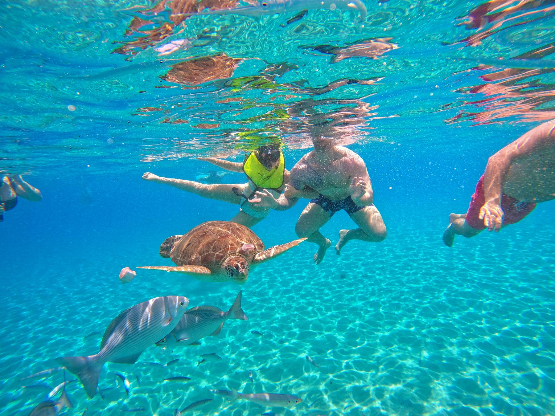 2022 - First time Snorkeling