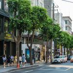 가로수길 (Garosukil Shopping/Eating Area)