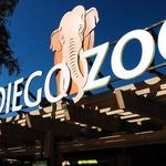 San Diego Zoo