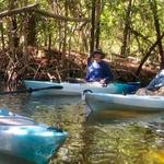 Kayaking SRQ Tours & Rentals