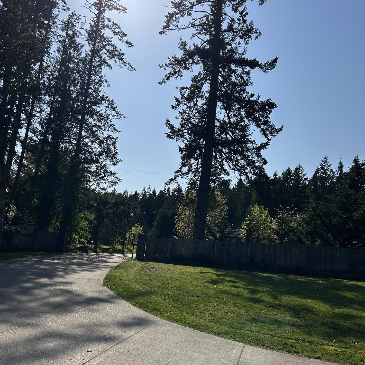 Driveway of the venue!