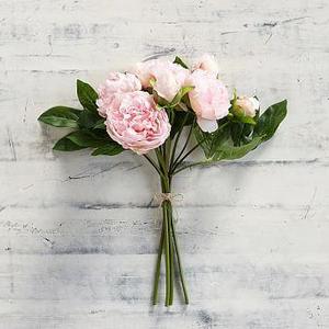 PEONY BUNDLE BLUSH