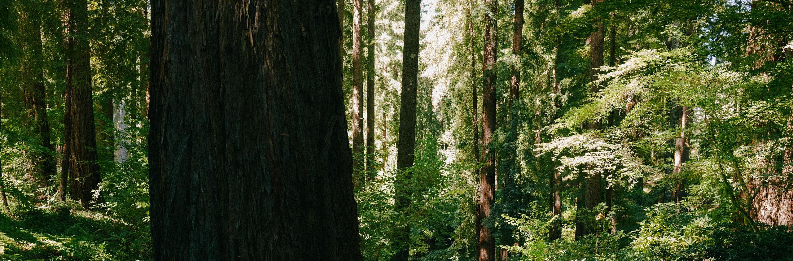 The Wedding Website of Chloe Tincher and Emma Koss