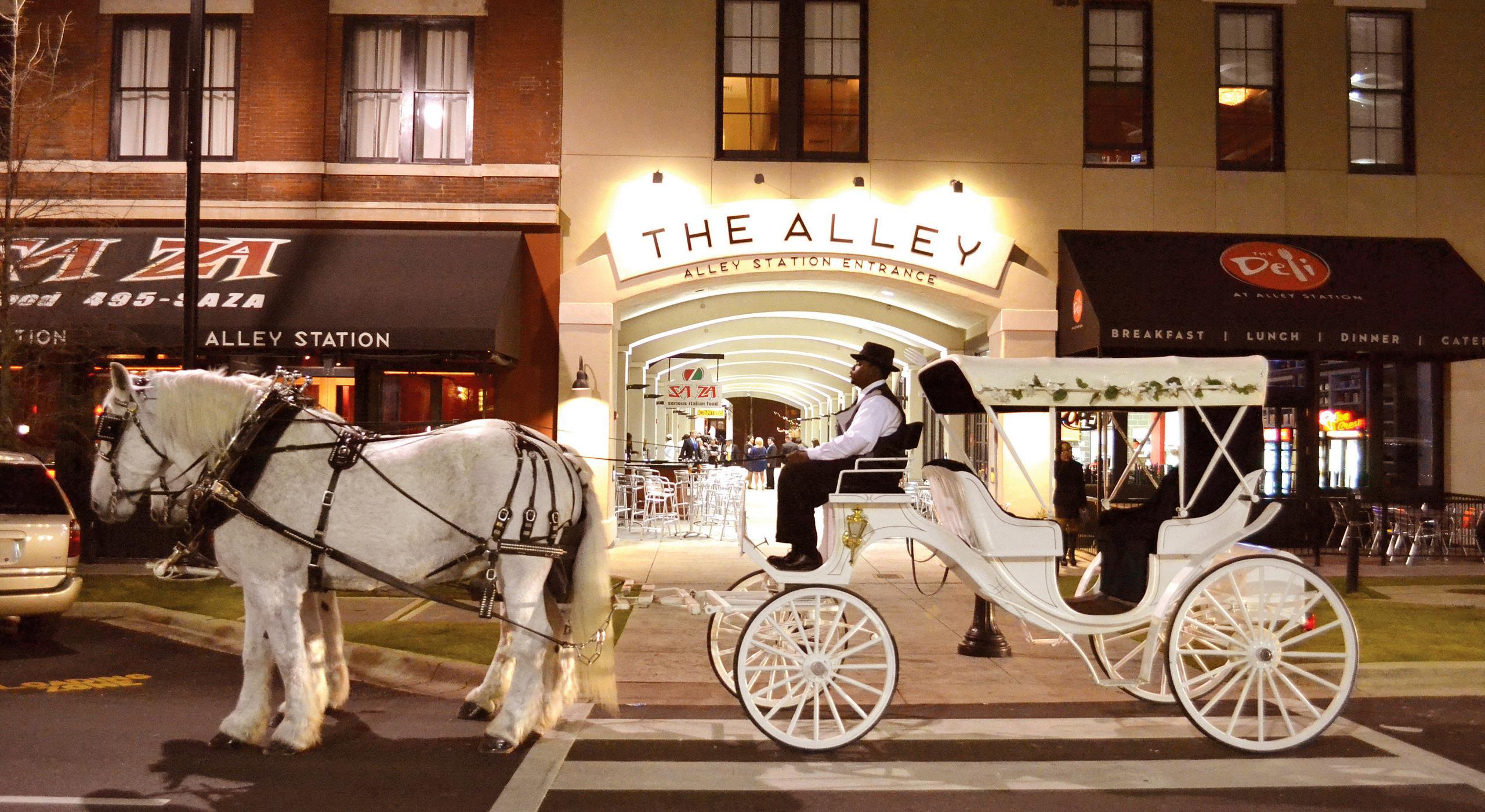 The Wedding Website of Tafeni English and Watkin Relf