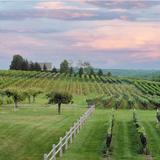 Wine Tasting at Sunset Meadows Winery