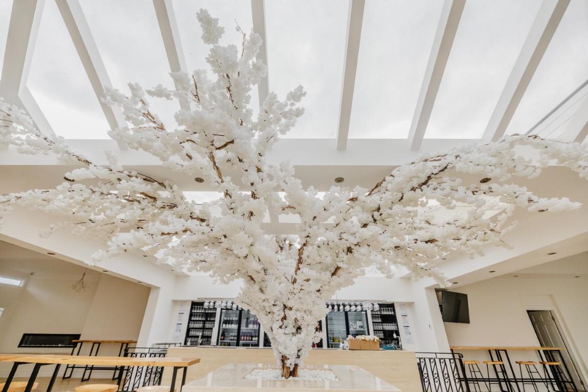 The Wedding Website of Ezri Chow and Dennis Wang