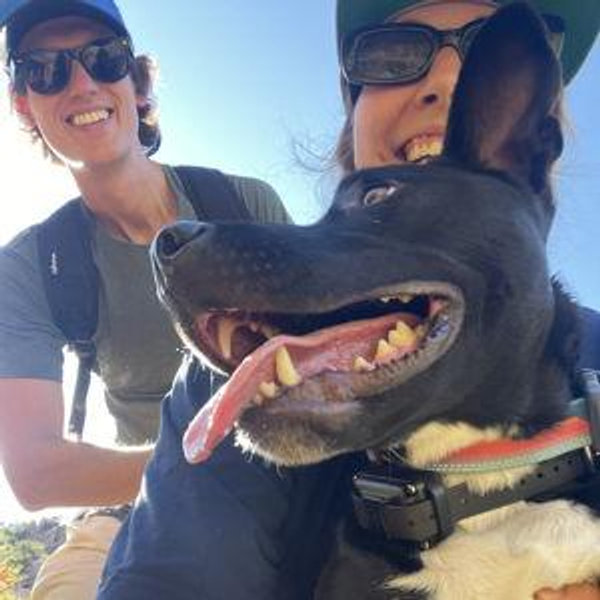 Austin Pets Alive Donation Fund