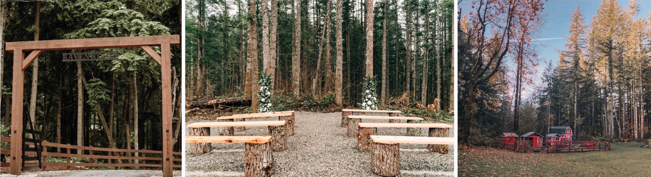 The Wedding Website of Kacey Swain and Tim Lioi