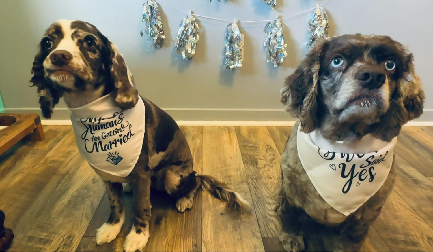 The Wedding Website of Katie Konesky and Ryan McKown
