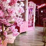 Pink Bubble Brunch