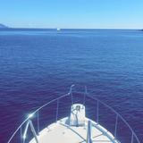 Sunset boat cruise