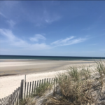 Mayflower Beach