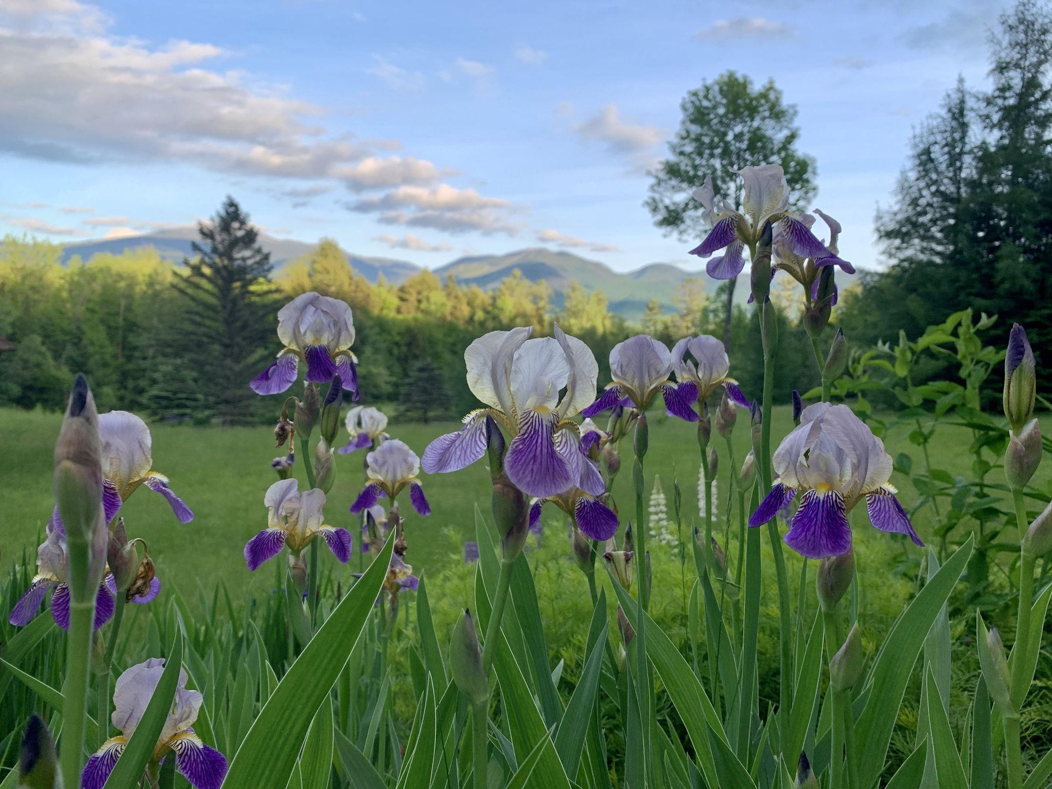 The Wedding Website of Emma Cizek and Jeremy Bramow