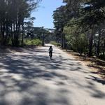 Golden Gate Park