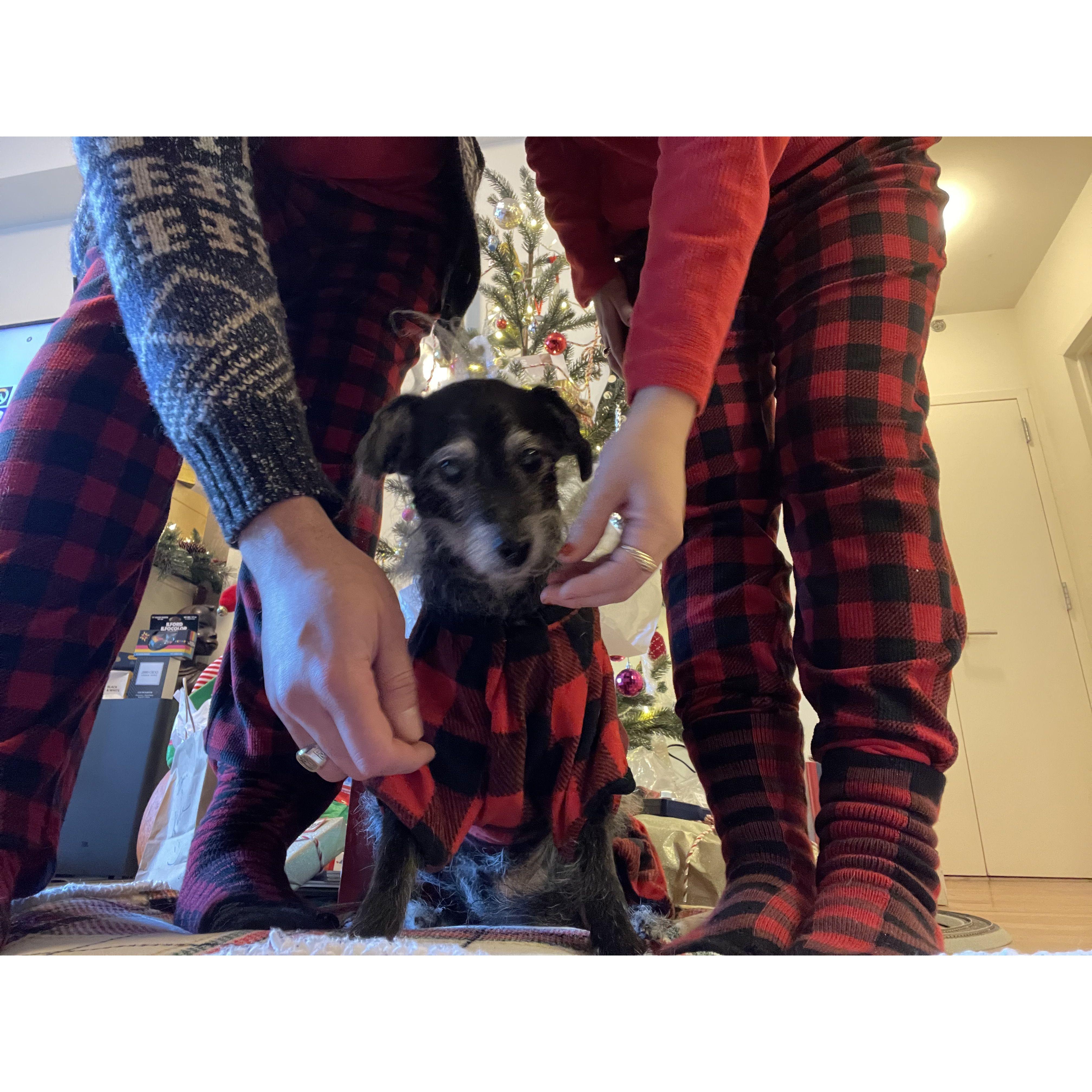 2022 Charlie Holidays Brooklyn, New York.