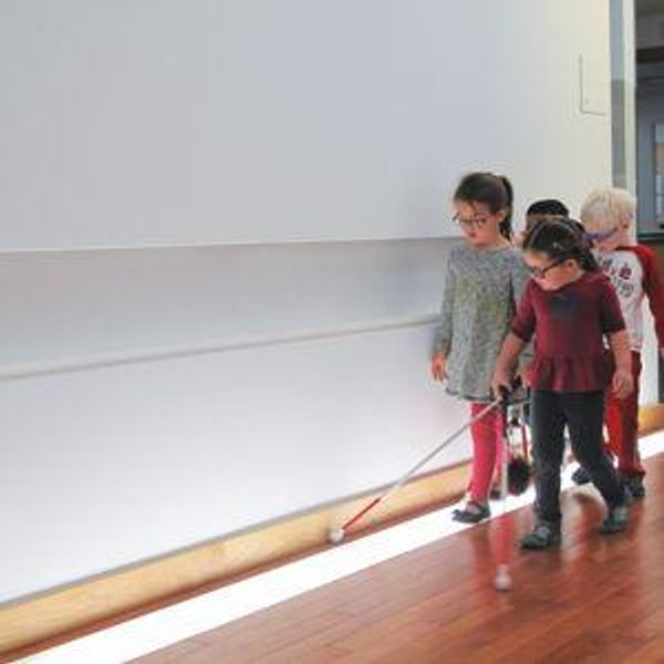 Donate to Anchor Center For Blind Children on behalf of us