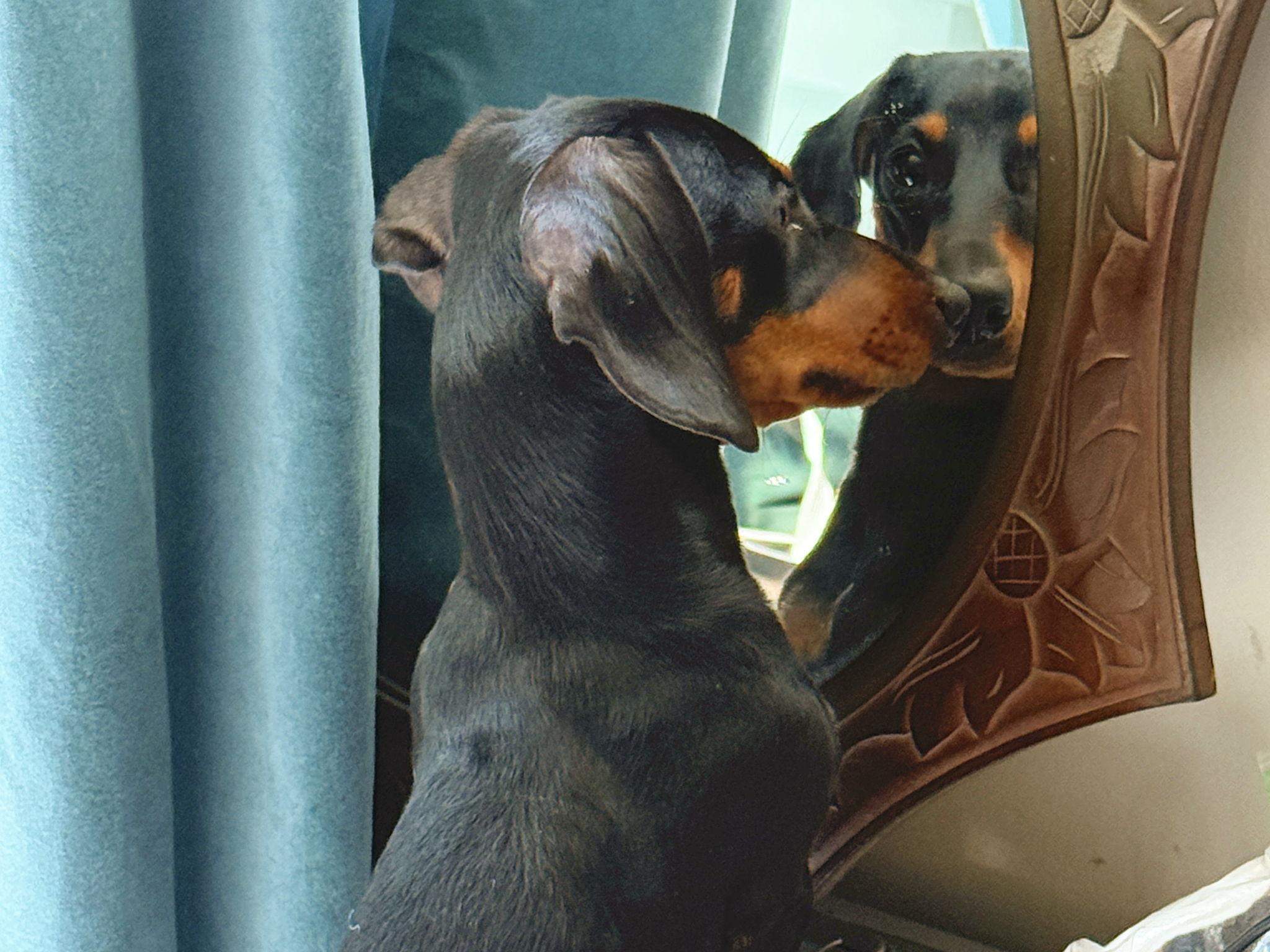 The Wedding Website of Bria Light and Mark Ignatius