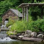 Bowman's Hill Wildflower Preserve