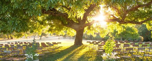 The Wedding Website of Alexis Vargas and Mikey Maietta