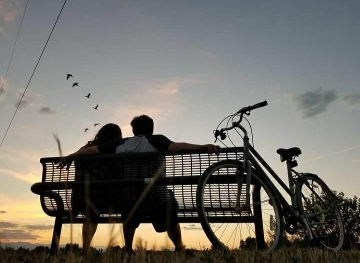 The Wedding Website of Erin Ellis and Seth Snyder