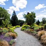 Bellevue Botanical Garden