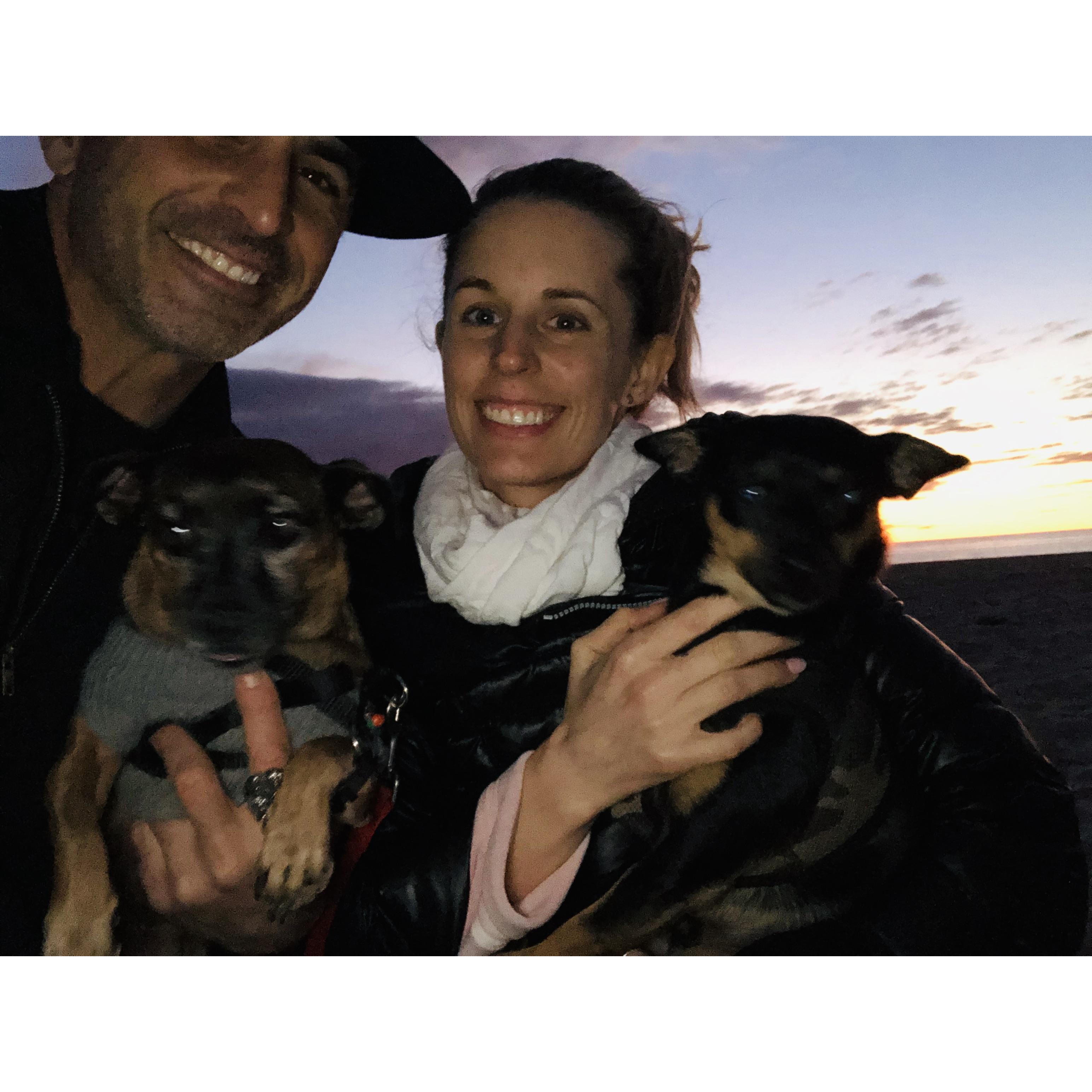 We ended 2019 with adopting Rico on NYE. We are now a family of four :)