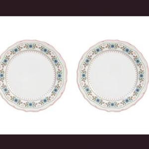 Southern LivingNorah Collection Dinner Plates, Set of 2
