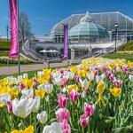 Phipps Conservatory and Botanical Gardens