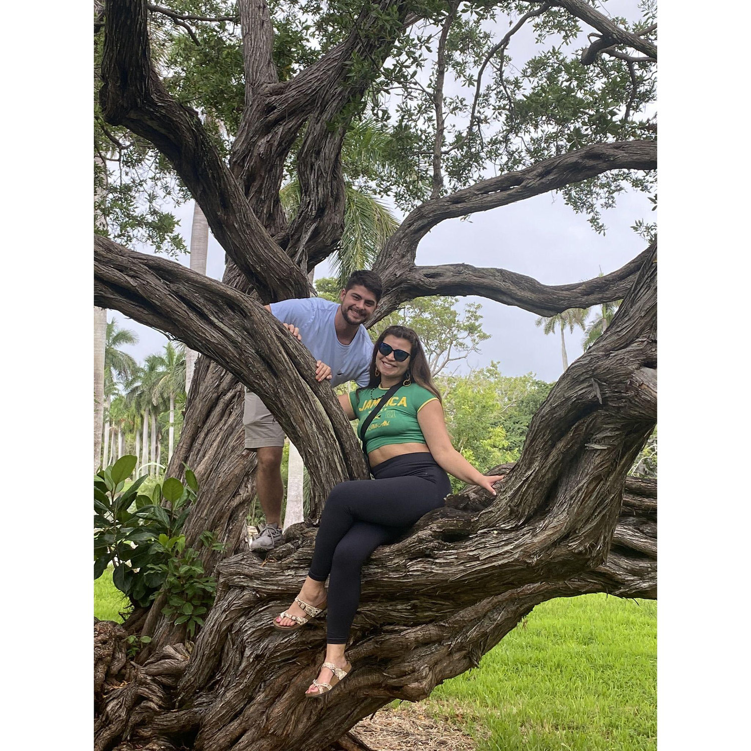 In a tree in Crandon Gardens