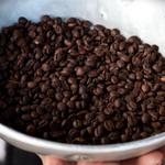 De La Gente Coffee Tour   |   Tour de Café