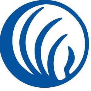 Donate to Support the National Alliance on Mental Illness (NAMI)