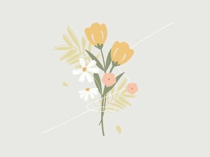 The Wedding Website of Velantina Masse-Thimothus and Kyle Richardson